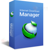 Internet Download Manager