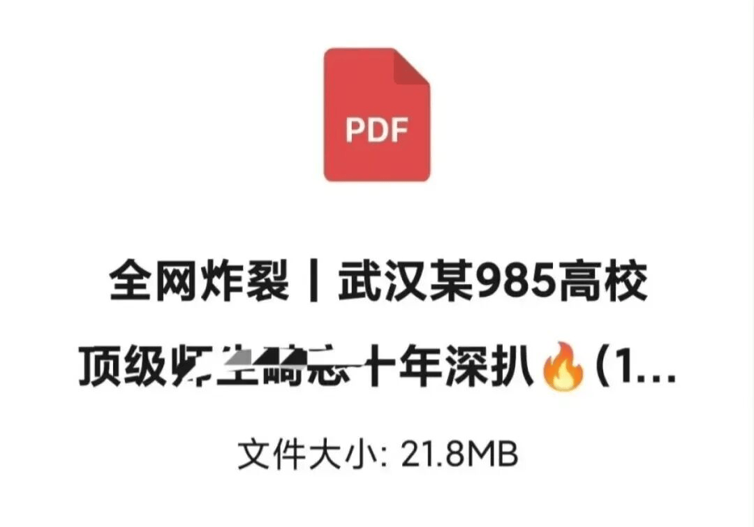 武大教授两女儿实名举报女教师勾引自己父亲,附上86页PDF材料,违规改造实验室搭建私人空间