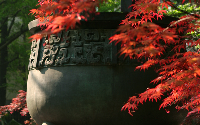 南京大学