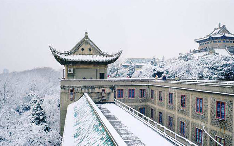 武汉大学