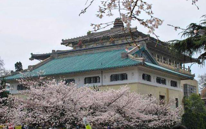 武汉大学