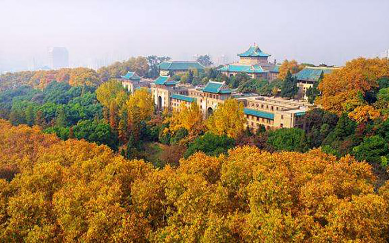 武汉大学