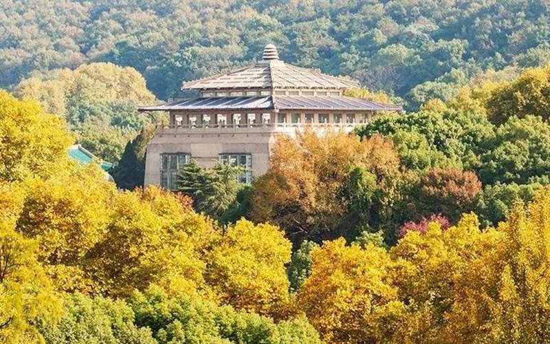 武汉大学