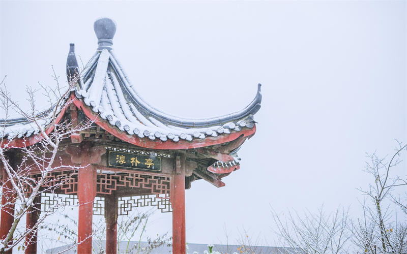 南京大学