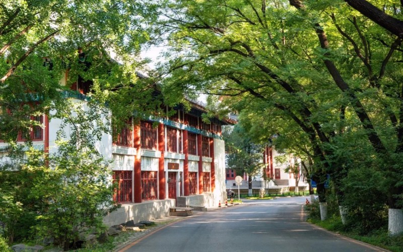 北京大学