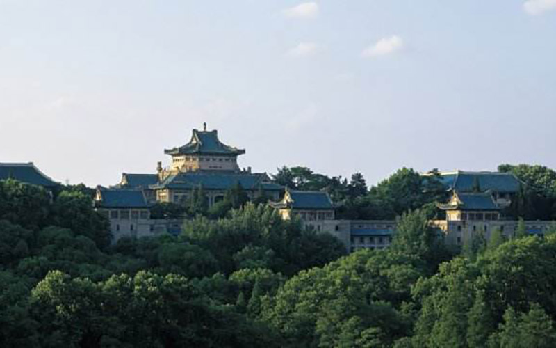 武汉大学