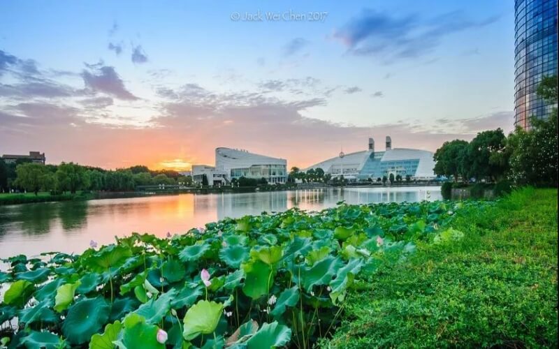 浙江大学